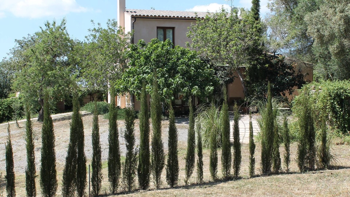 Manacor Cottage | House/Villa - Manacor