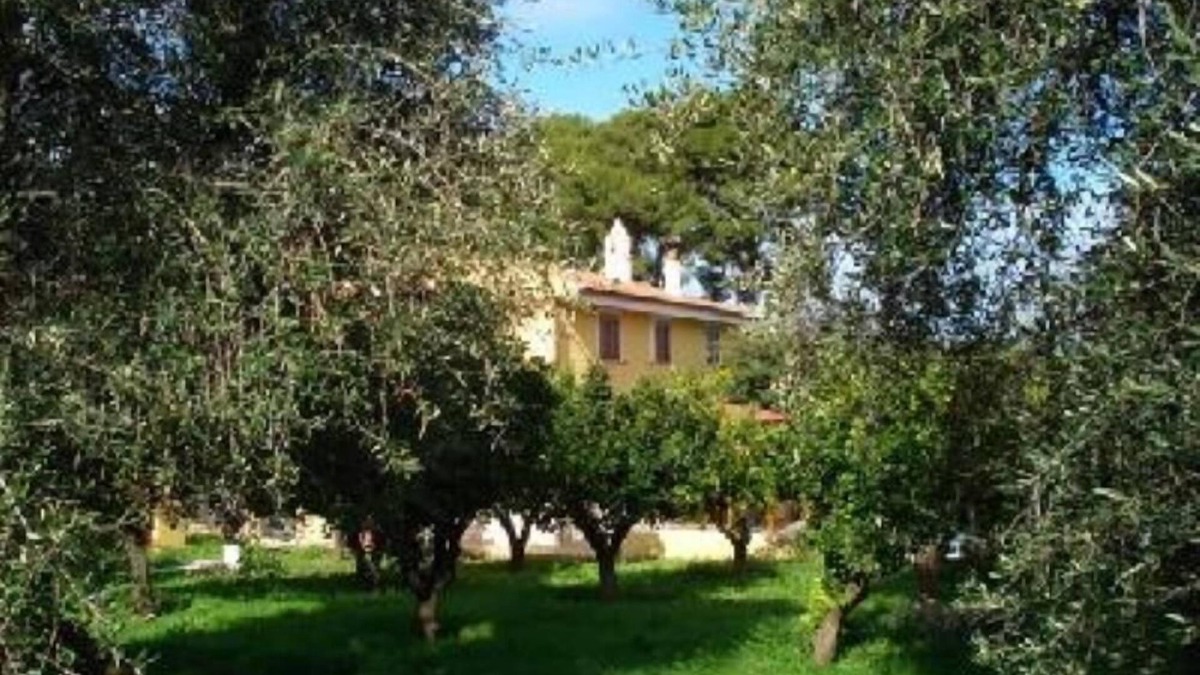 Vico del Gargano House | House/Villa - Rodi garganico