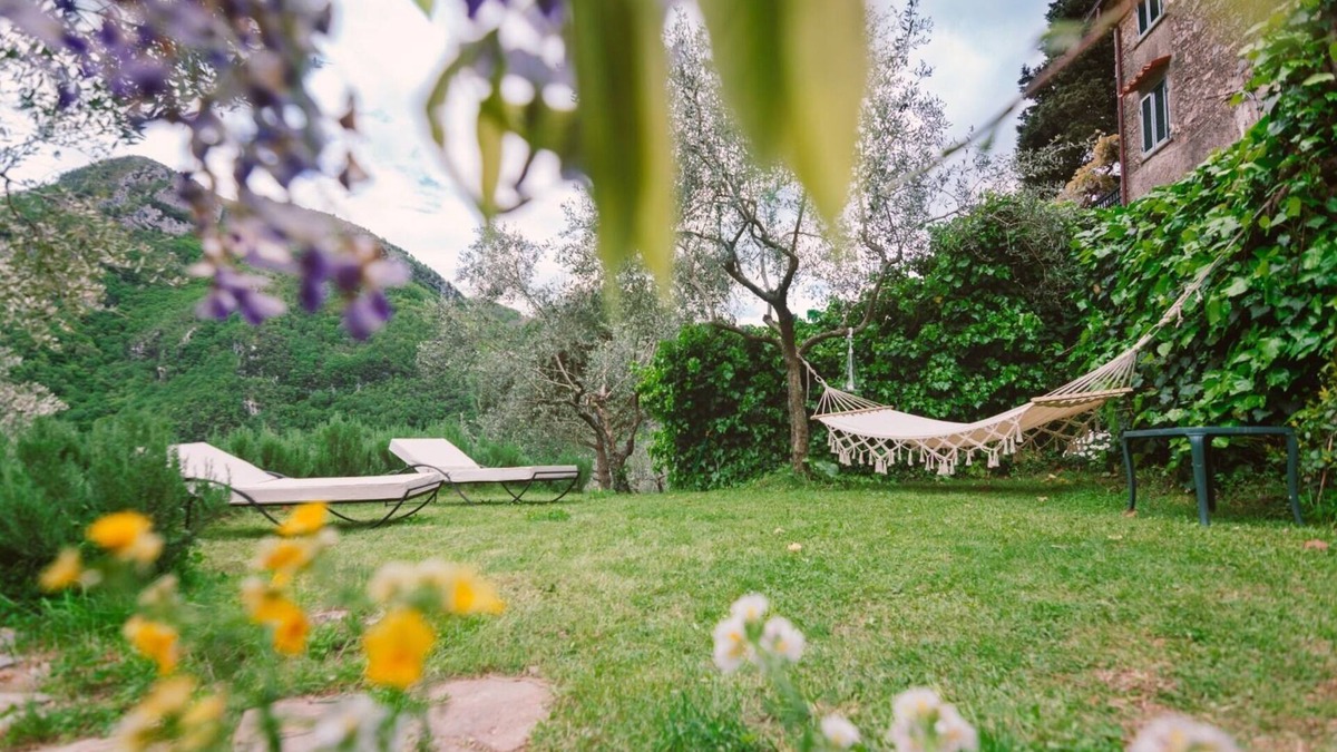Camaiore House | House with a view of olive trees, walnuts and laurels.