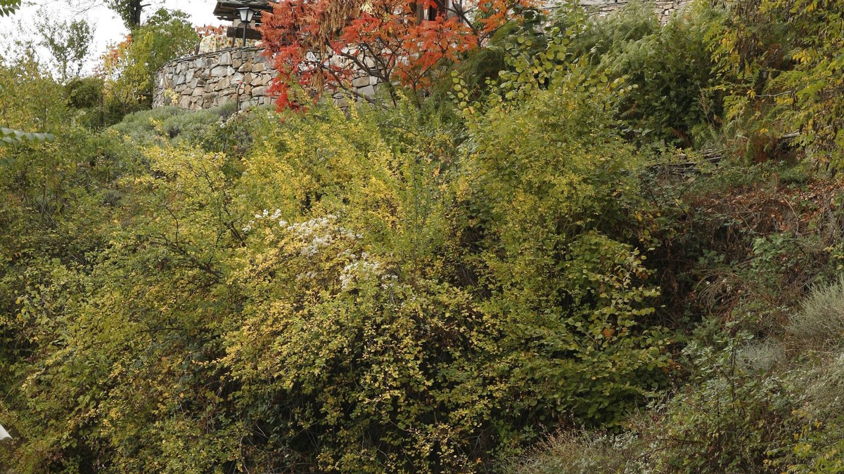 Delchevo House | House with garden in authentic mountain village, with plenty of peace, nature and clean air.