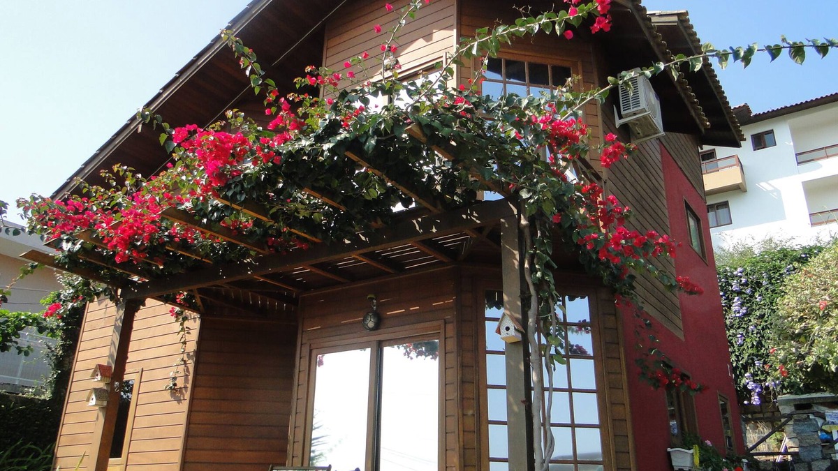 Agronomica House | House with sea view (North Sea border)