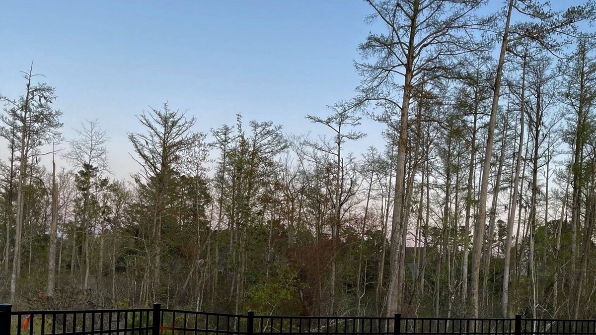 Belville House | Huge Family House, Hot Tub, Firepit, Basketball, Sandbox