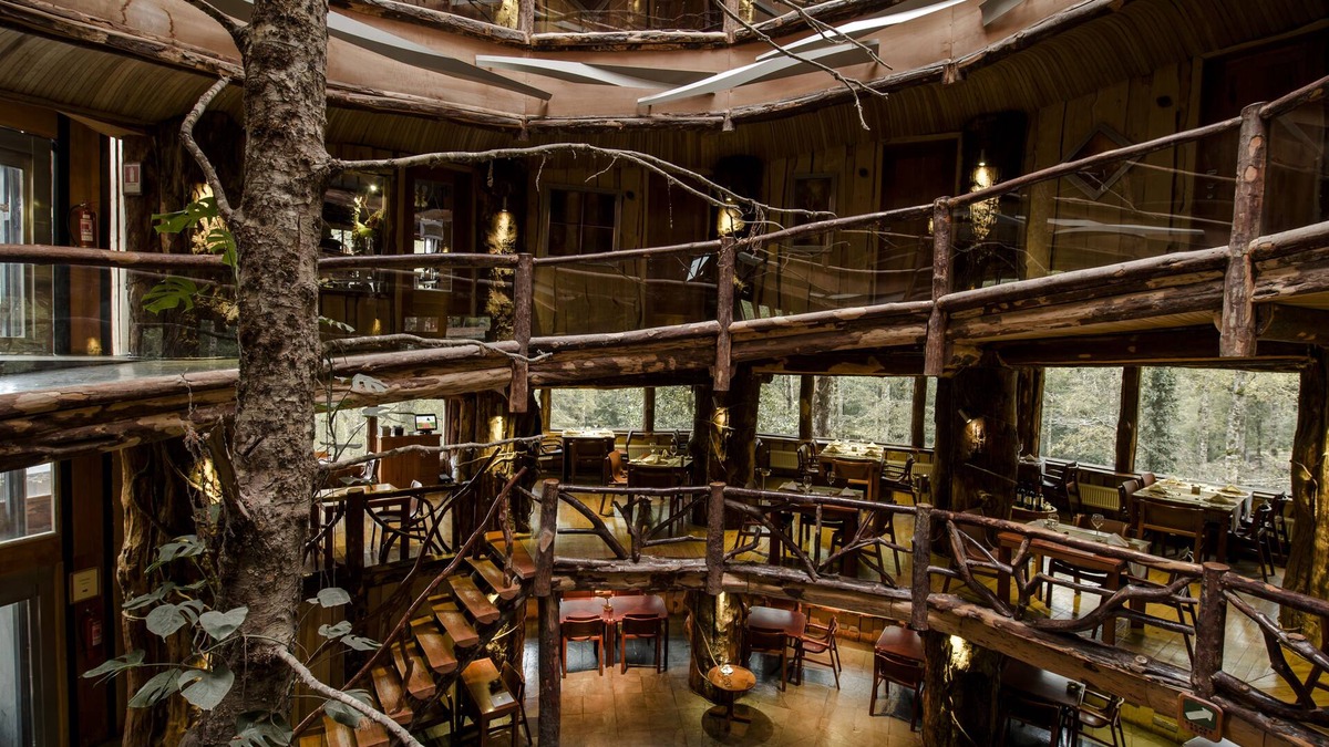Neltume Hotel | Huilo Huilo Nothofagus Hotel & Spa