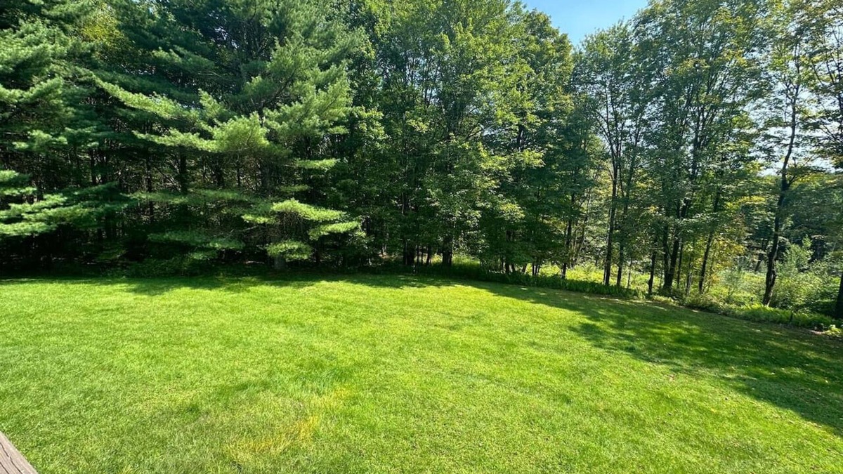 Swan Lake House | Hunting Lodge | 50 Acres of Nature & Tranquility