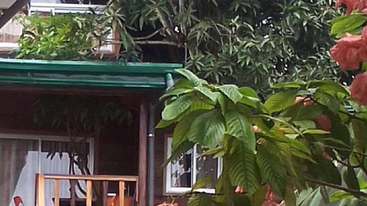 Kribi Cabin | Hut in the old Mangoo tree . Breakfast incl