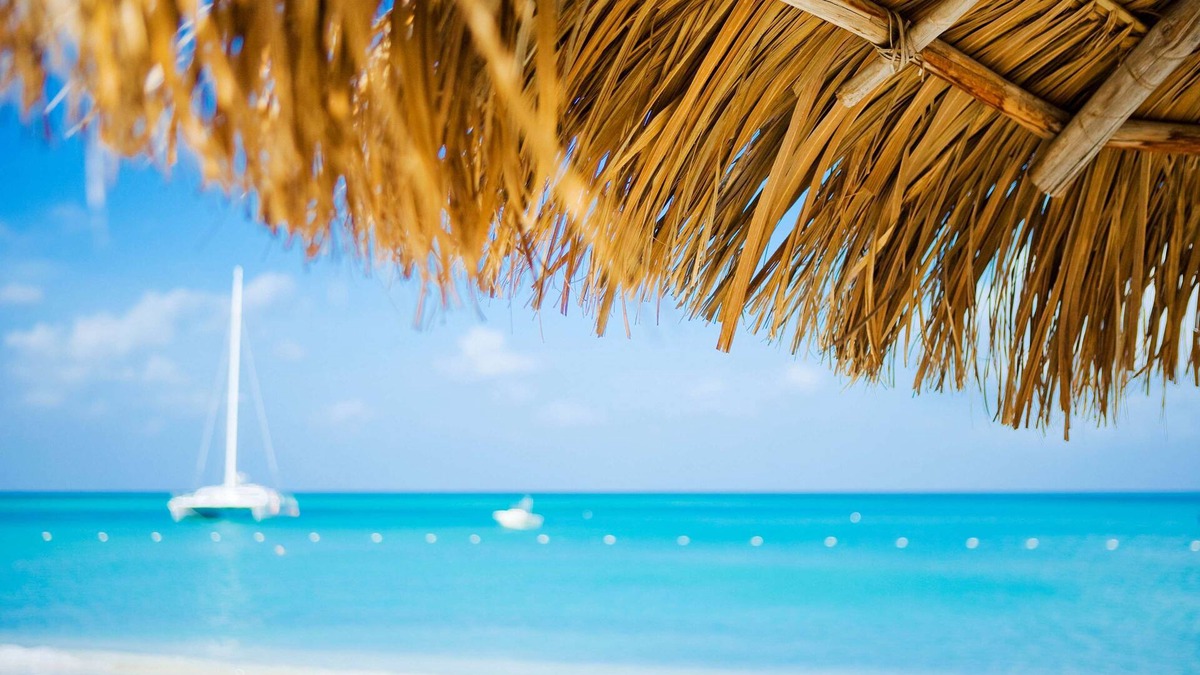 Palm Beach Resort | Hyatt Regency Aruba Resort and Casino