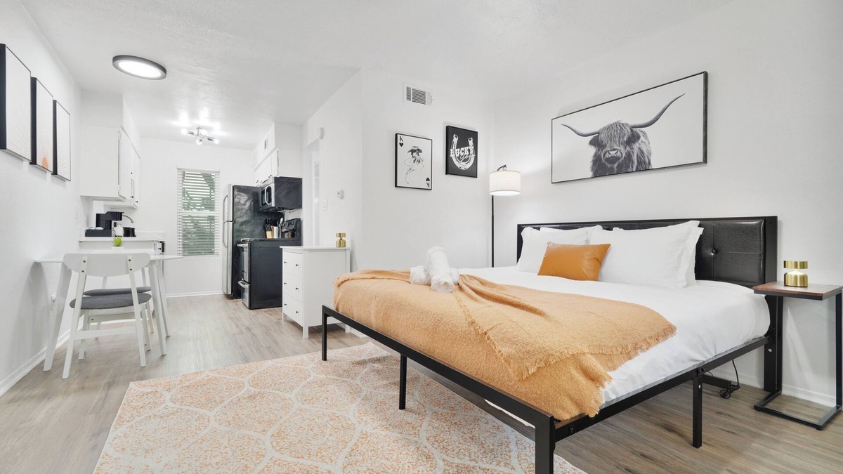 Hyde Park Apartment | Hyde Park Gem–Modern Studio Near UT & Downtown