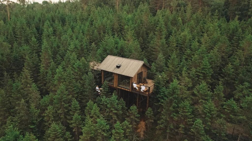 Hyssna Hotel | Hyssna Forest Resort