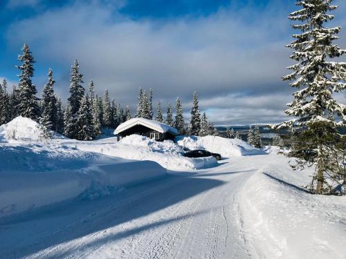 Trysil Ski Chalet | Hytta for 8 personer skiut/inn