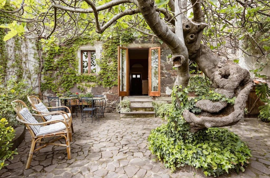Paulilatino House | I gerani rossi