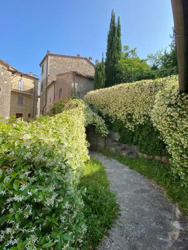 Semproniano House | I Giardini Pensili