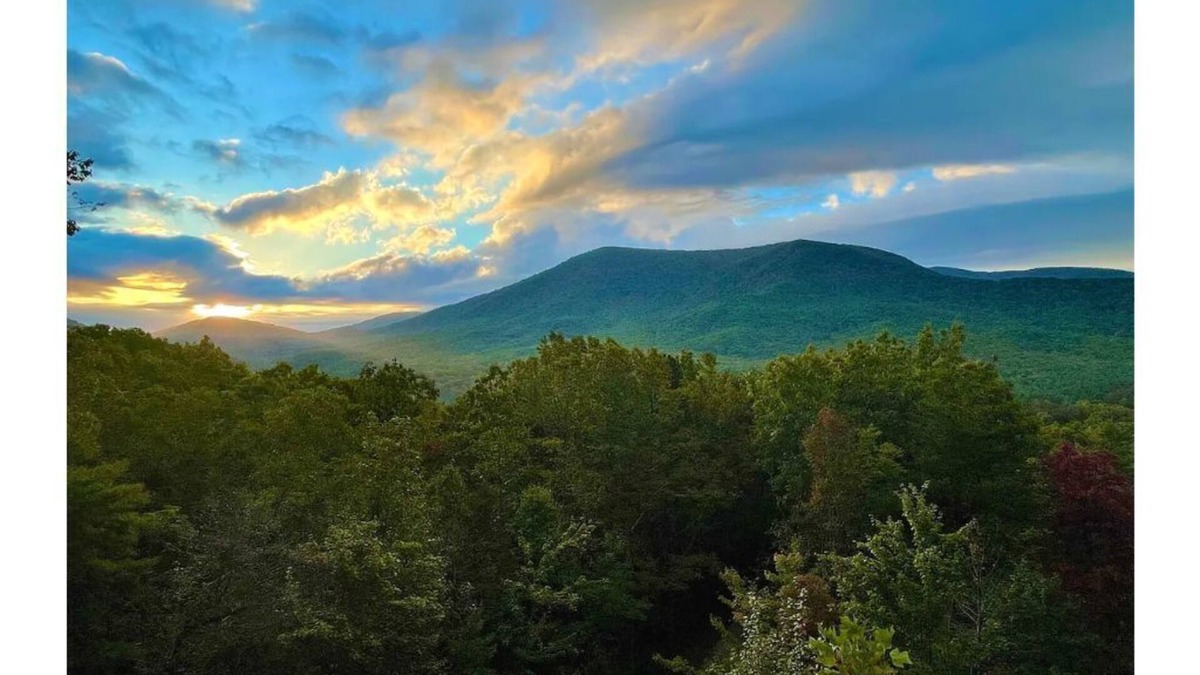 Cherry Log Cabin | I LOVE VIEW - North GA - Cherry Log, Blue Ridge - Quiet, private, serene, relax