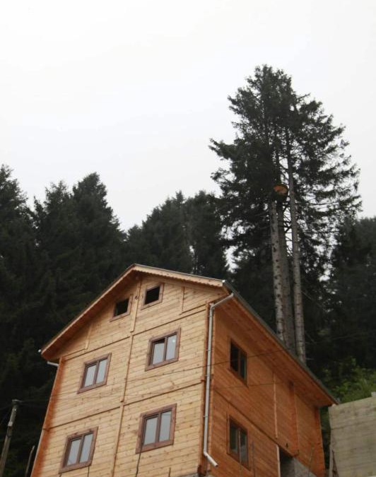 Ayder Yaylasi Ski Chalet | İnka Apart House
