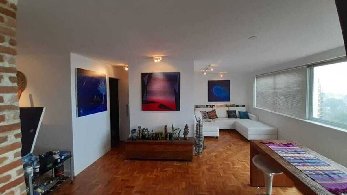 Vila Mariana Apartment | Ibirapuera Park View