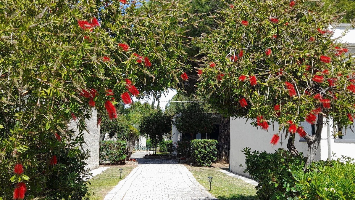 Follonica Resort | Ibiscus Beach Village