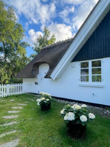 Udsholt House | Idyllic Thatched Cottage Near Udsholt Strand
