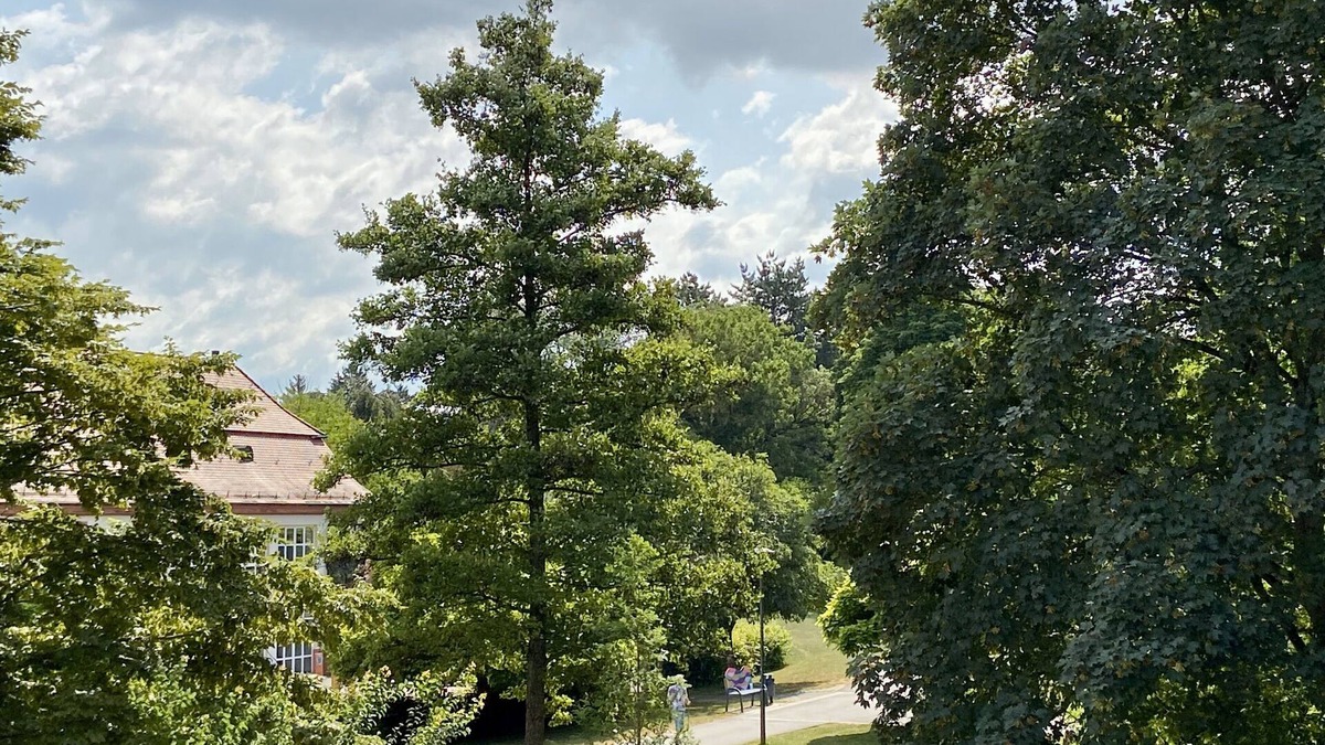 Bad Mingolsheim Apartment | Idyllic vacation apartment by the spa gardens, view of the countryside, 1st floor, 98sqm, 5 people