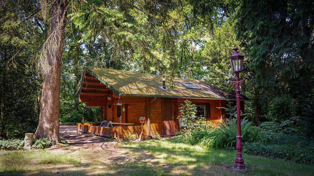 Soest Old Town Ski Chalet | Idyllisch Natuurhuisje aan Duinrand, hondvriendelijk