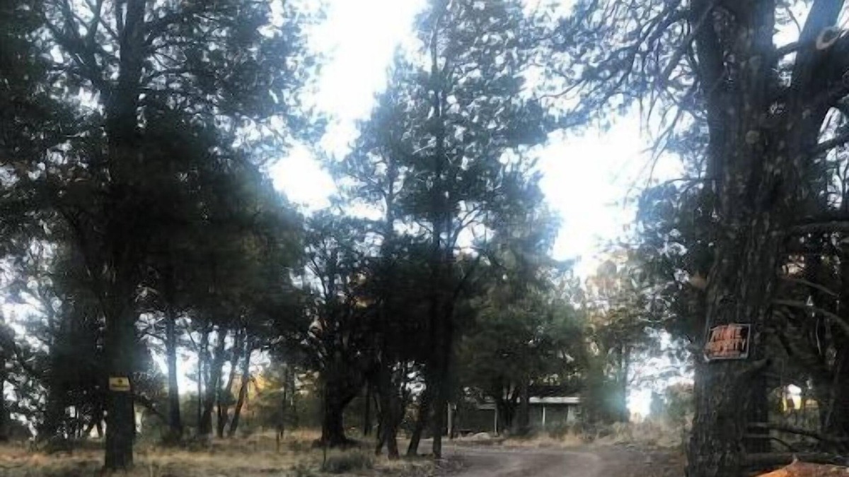 Tyrone House | Idyllwind Hills Cabin