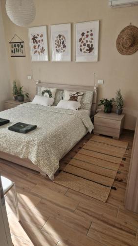 Bordonchio Apartment | Igea Mare