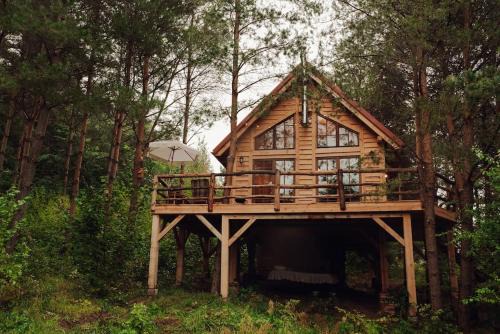 Wejherowo House | Iglasta chata