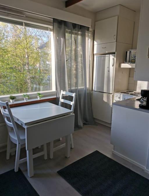 Kokkola Apartment | Ihana yksiö