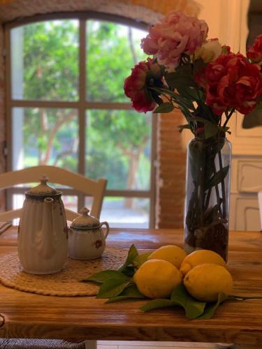 Suvereto Bed & Breakfast | Il giardino dei limoni