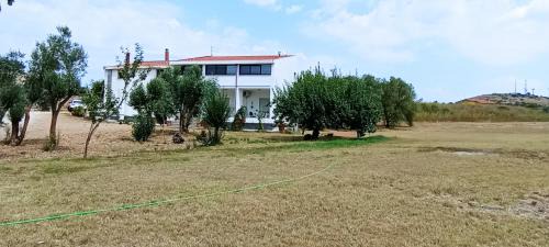 Florinas Bed & Breakfast | Il giardino del Sole