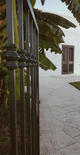 Veglie Bed & Breakfast | Il Negramaro