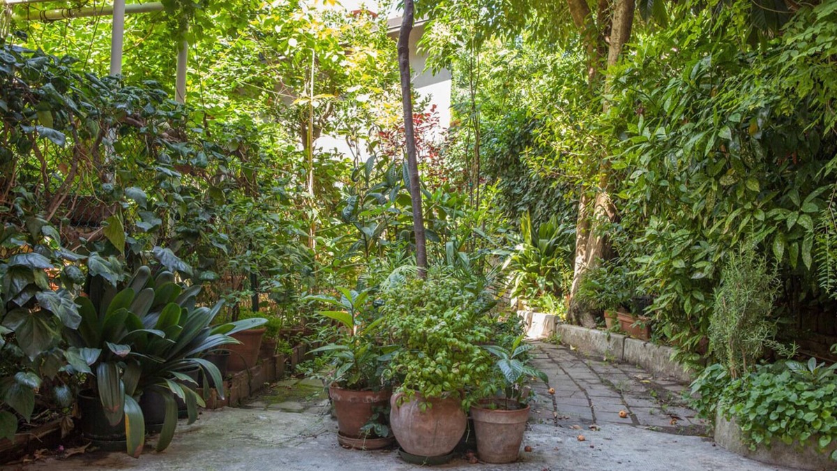 Cirenaica Apartment | il Nespolo