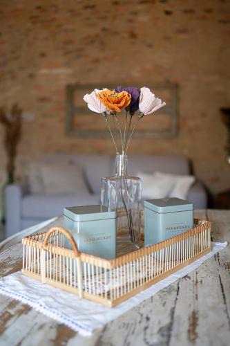 Buonconvento Apartment | Il Nido