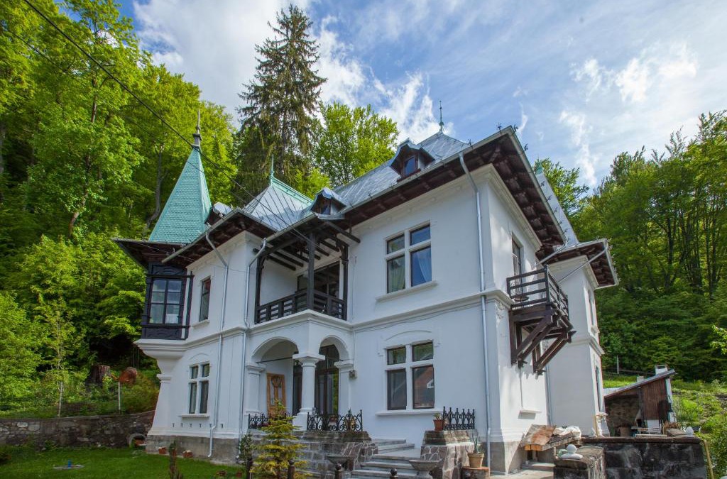 Busteni House | IL Piccolo Castello Busteni