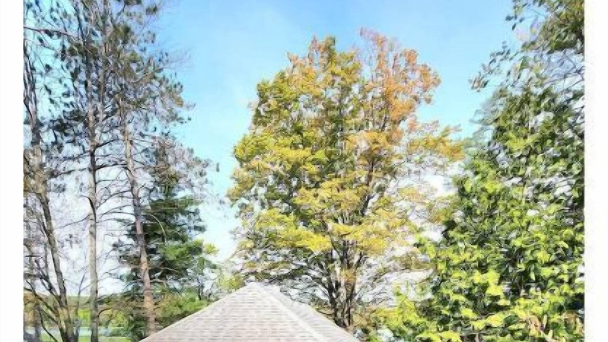 Tiny Cottage | Il Secondo Family Cottage STRTT-2023-158