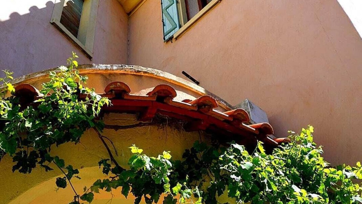 Prat-de-Cest Apartment | In the bird paradise, an oasis of silence, the best recreation for you!