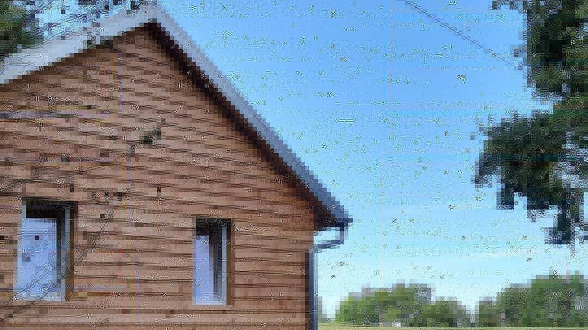Biebergemund House | In the middle of nature, wooden house on the edge of the forest with a view of meadows and fields