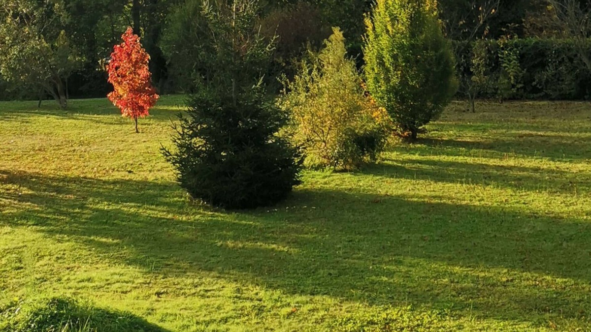 Lavelanet Apartment | In the Pays d'Olmes