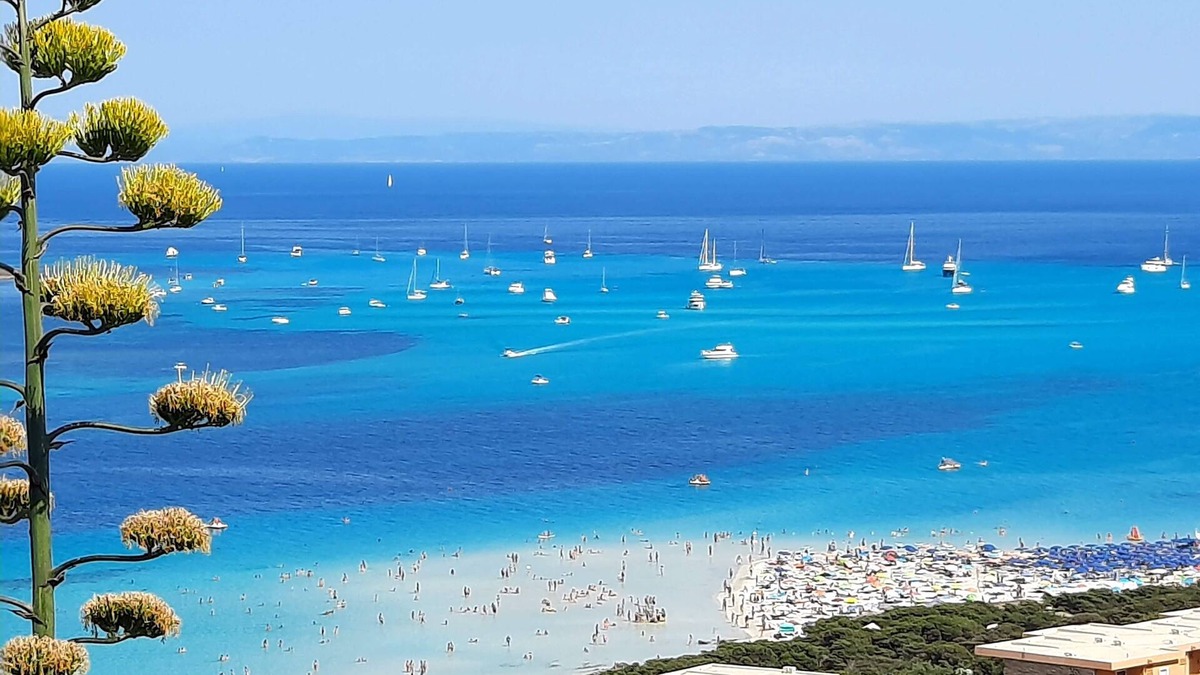 La Pelosa House | In the sea of Stintino