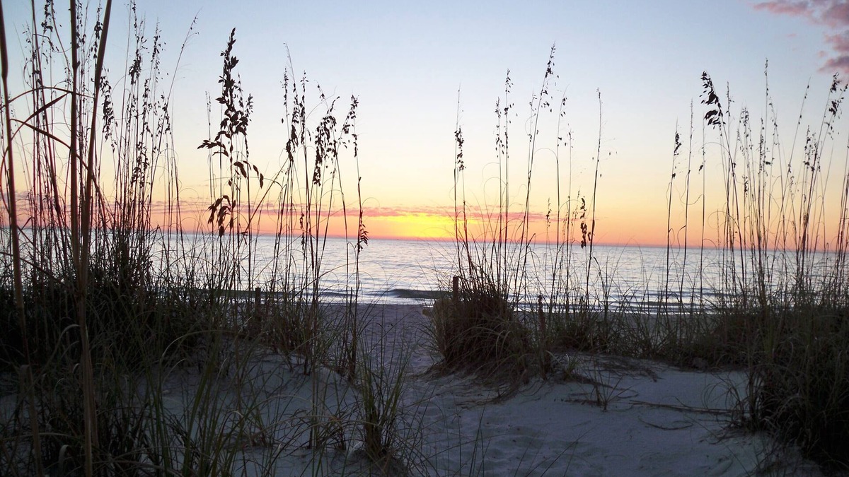 Cape Haze House | 'Incommunicado ' ~A~ Hammock, Cool Drink, Whispering Pines.