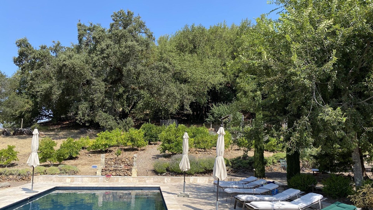 Penngrove Villa | Incredible Estate on Sonoma Mountain