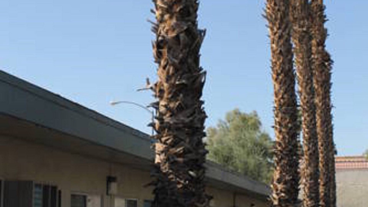 Indio Hotel | Indio Holiday Motel