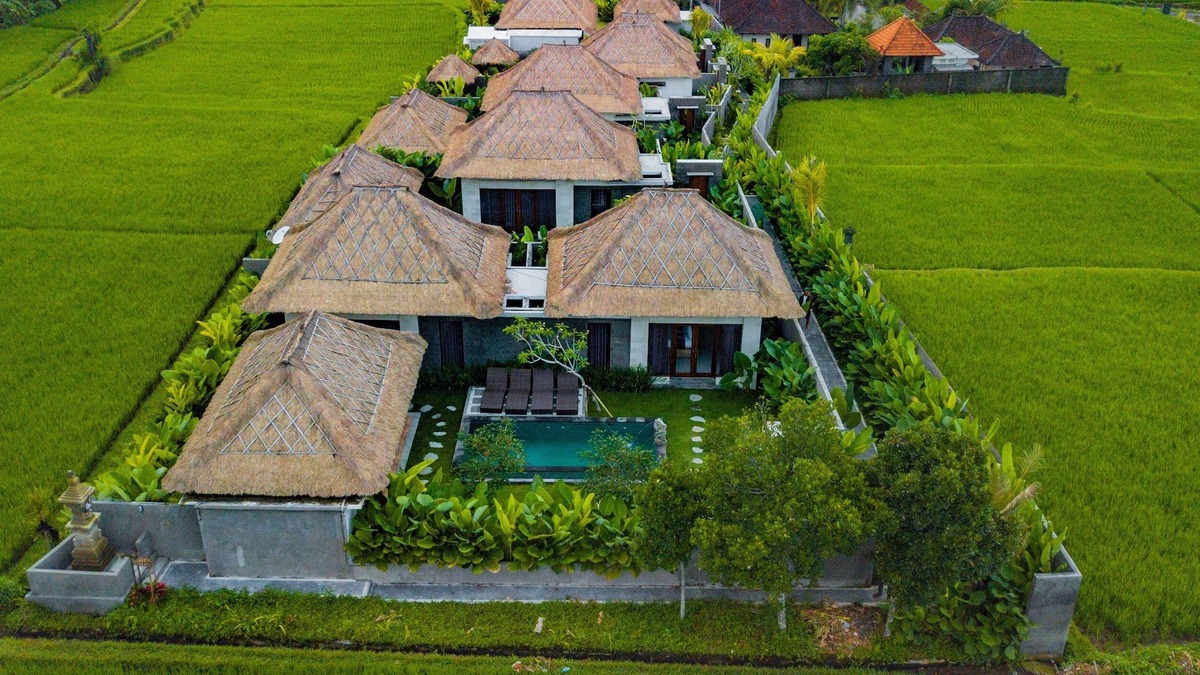 Tegallalang Villa | Indra Loka with nice panoramic of rice field view