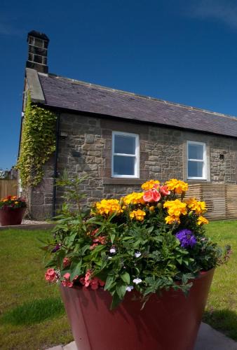 Wandylaw House | Inglenook a Wandylaw Cottage, a cosy one too