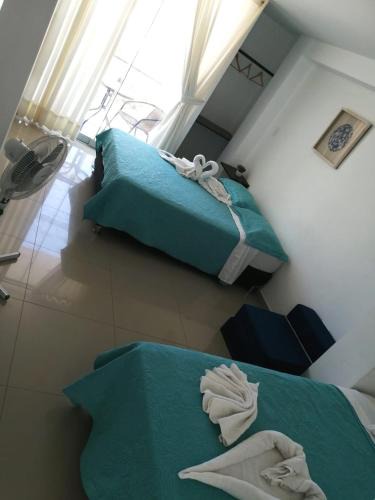 Pisco Hotel | Inkayacu Vip