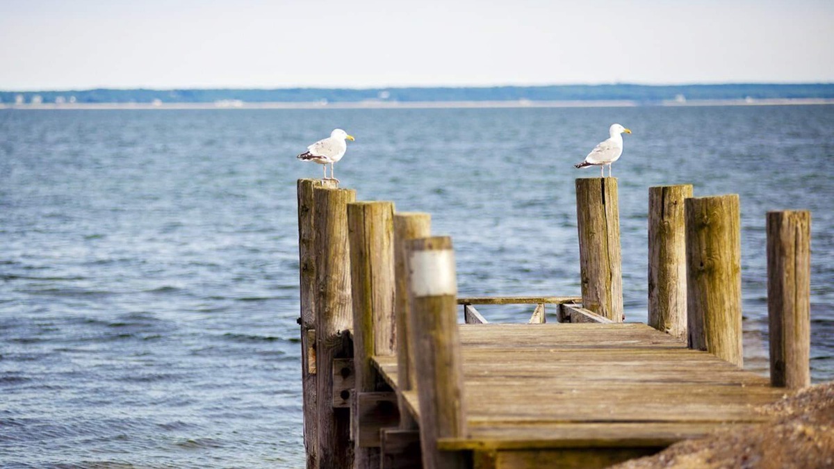 East Falmouth Resort | InnSeason Resorts Surfside - Amazing Waterfront Views & Private Beach Access!