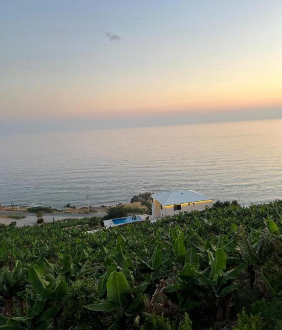 Seki Hotel | IOTAPE AYDAP BUTİK OTEL