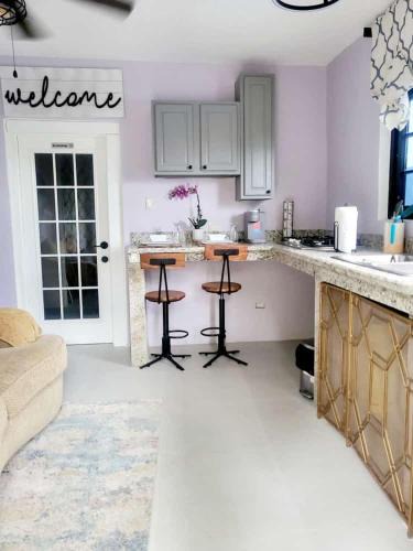 Salt Gut Apartment | Irie Royal