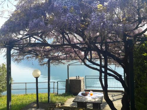 Riva di Solto Apartment | IseoLakeRental - La Villina - Zù