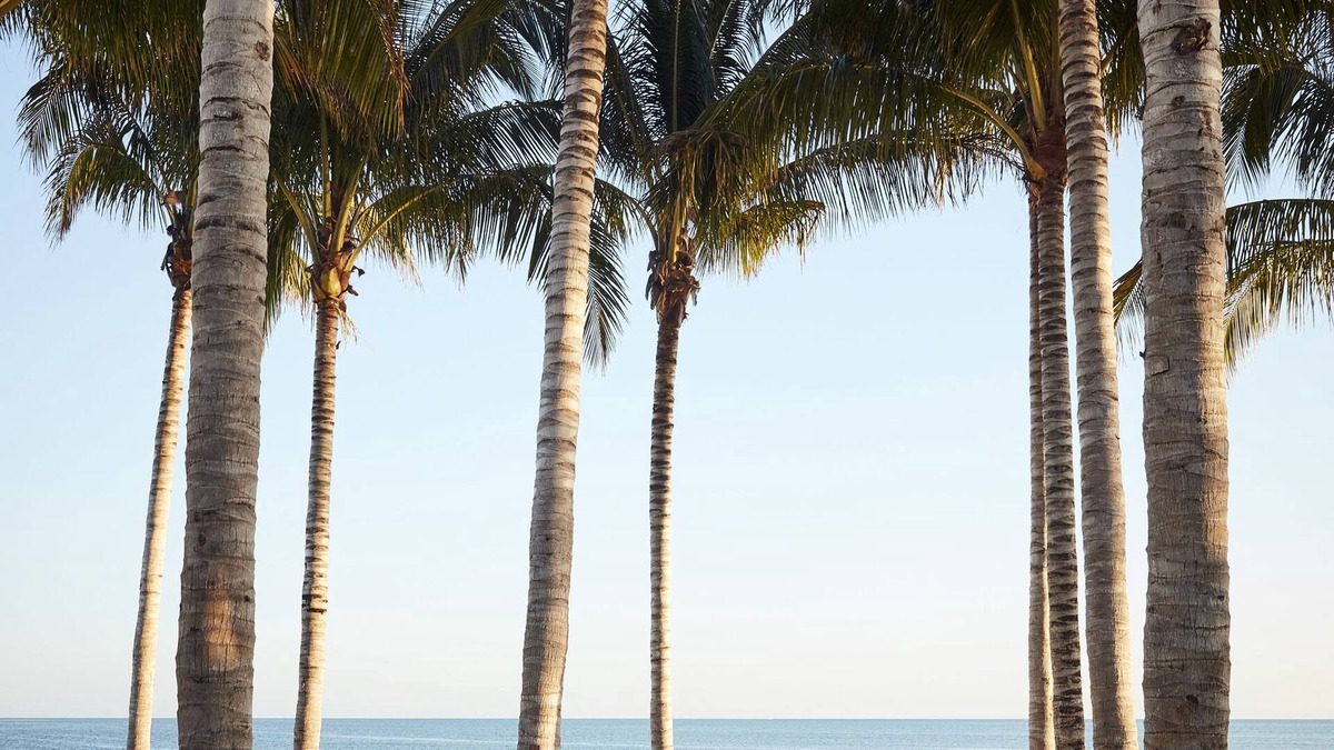 Marathon Hotel | Isla Bella Beach Resort & Spa