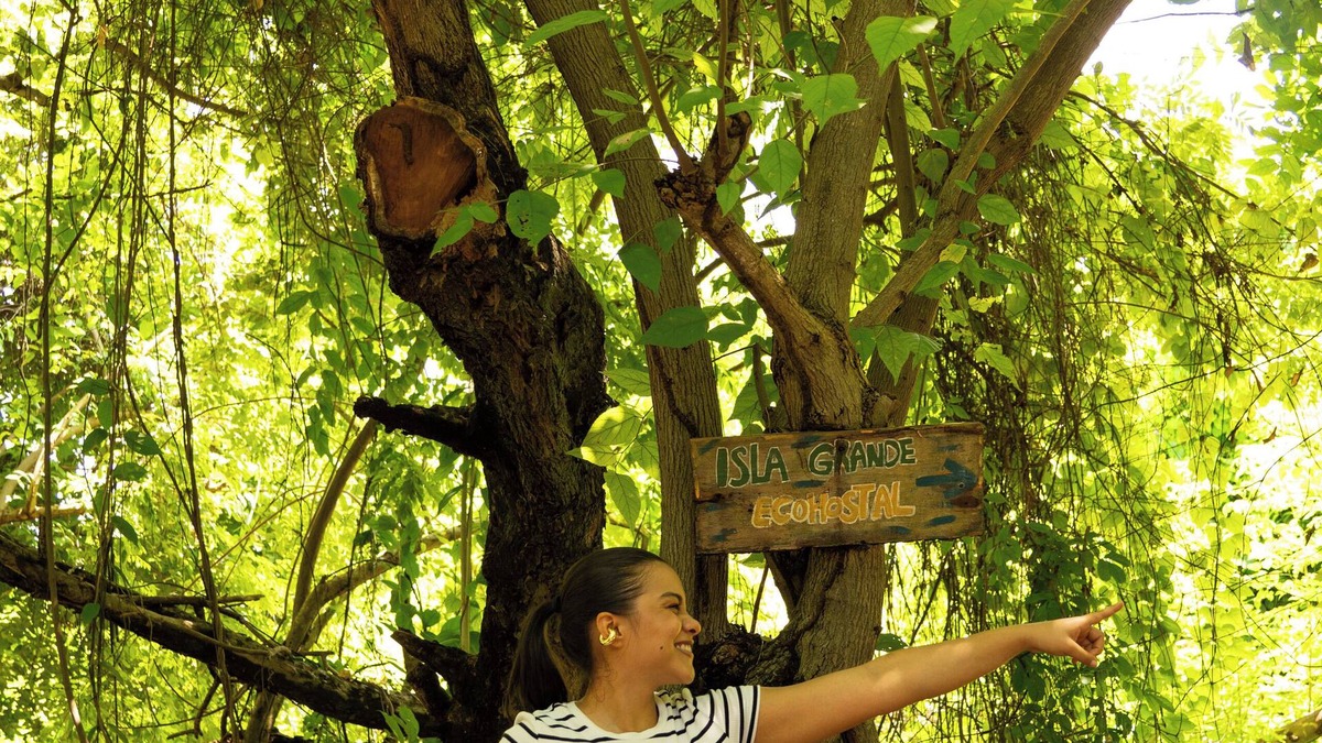 Rosario Islands Cabin | Isla Grande Ecohostal A paradise in the Rosario Islands, Cartagena, Colombia.