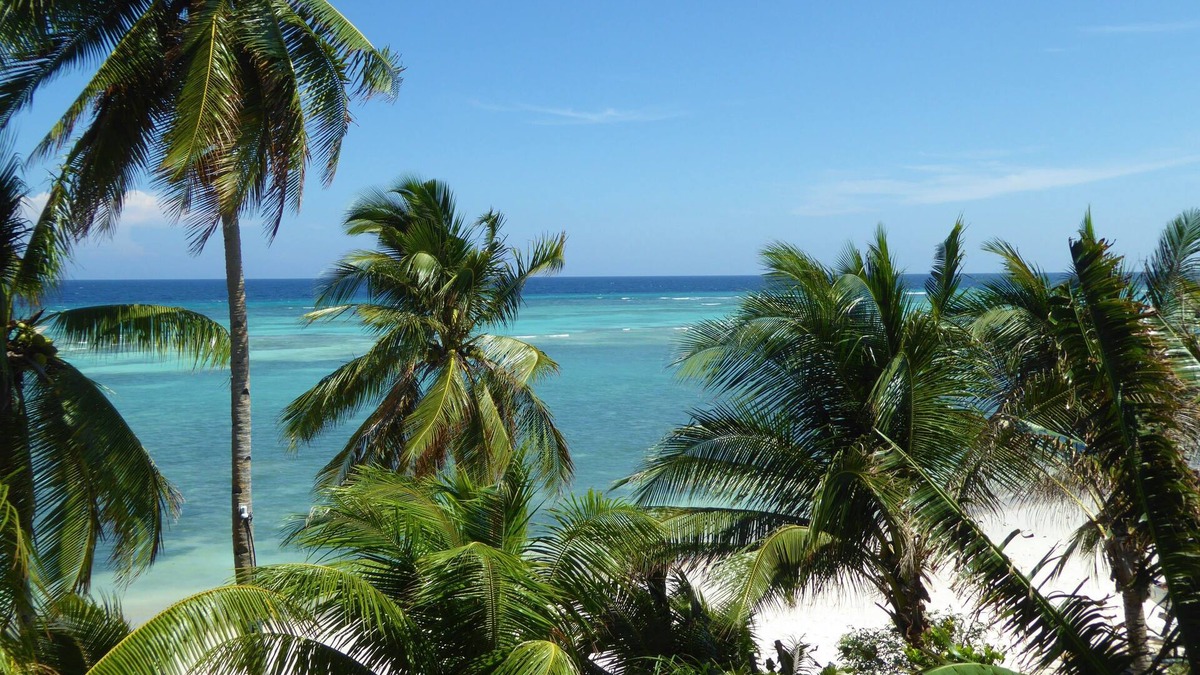 Anda Hotel | Island View Beachfront Resort